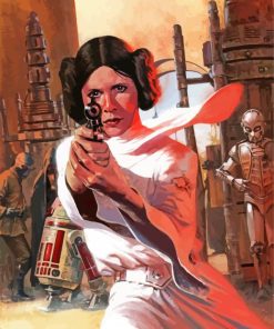 Princess Leia Star Wars paint by number