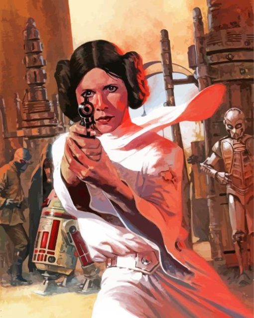 Princess Leia Star Wars paint by number