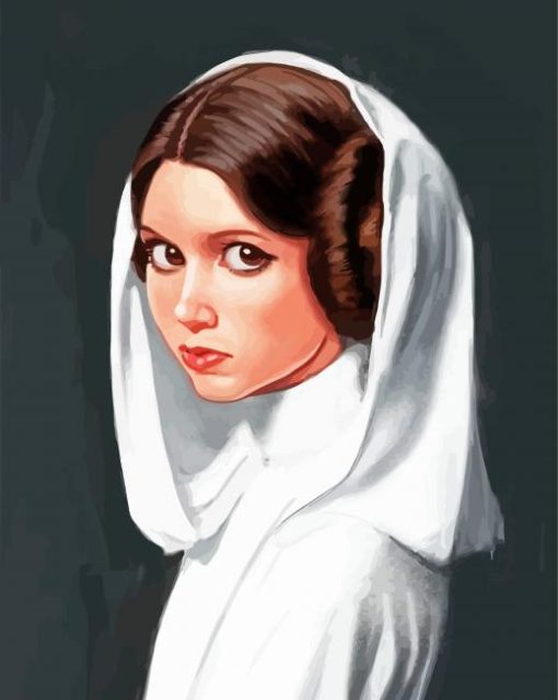 Princess Leia paint by number