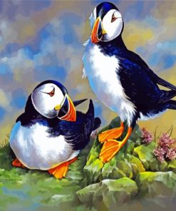 Puffin Birds paint by number