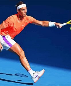 Rafael Nadal paint by numbers