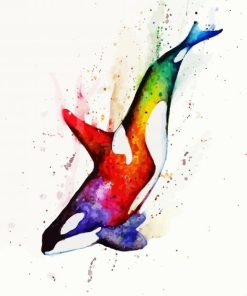 Rainbow Orca Art paint by number