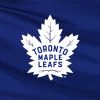 Toronto Maple Leafs Logo paint by numbers