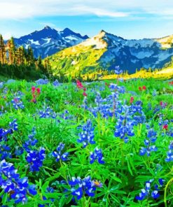 Wildflowers Meadow paint by number