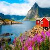 Aesthetic Lofoten Norway paint by numbers