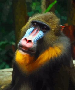 Aesthetic Mandrill paint by number