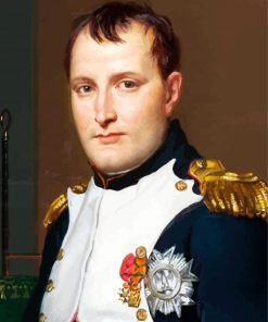 Aesthetic Napoleon paint by number