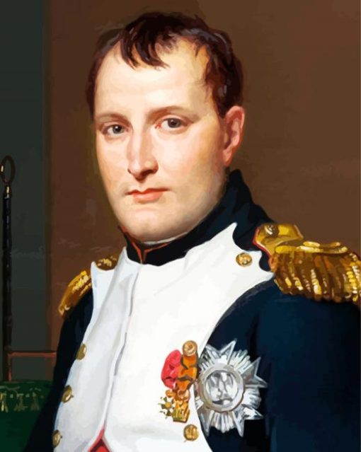 Aesthetic Napoleon paint by number