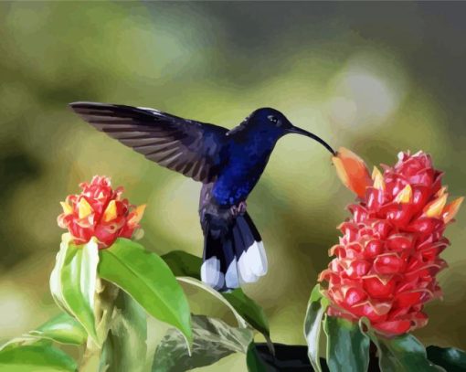 Blue Hummingbird paint by number