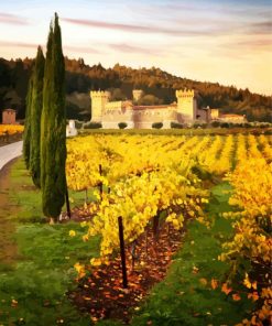 Castle Vineyard Napa Valley paint by number