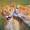 Cute Lions paint by number
