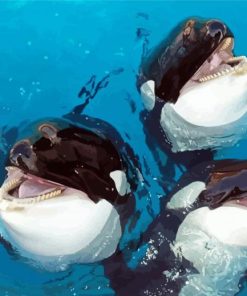 Cute Orcas paint by number
