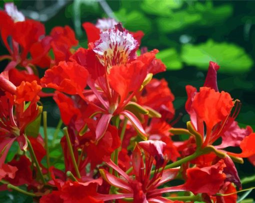 Flamboyan Flower Plant paint by number