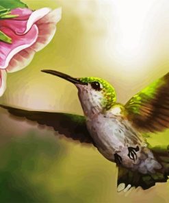 Flying Hummingbird paint by number