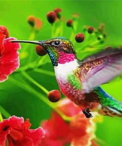 Flying Hummingbird paint by number