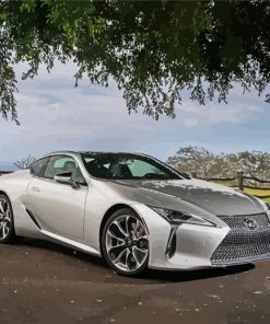 Grey Lexus LC paint by number