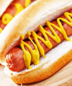 Hotdog Sandwich paint by numbers