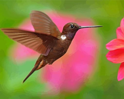 Hummingbird And Flower paint by number