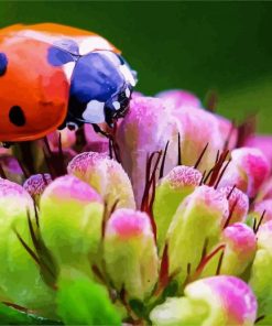 Ladybeetle On Flower paint by numbers