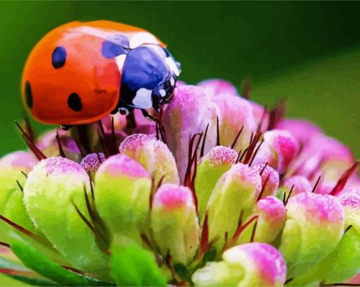 Ladybeetle On Flower paint by numbers