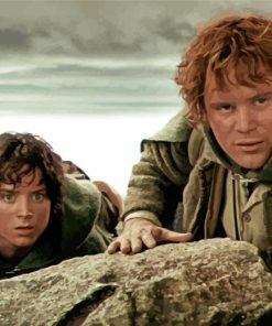 Lord Of The Rings Sam And Frodo paint by number