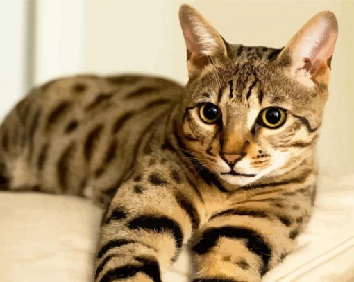 Mixed Savannah Cat paint by numbers