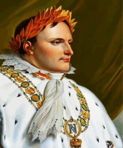 Napoleon paint by number