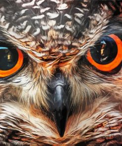 Owl Eye paint by number