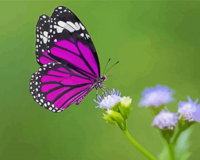 Purple Butterfly On Flower paint by numbers