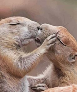 Romantic Gophers Kissing paint by number