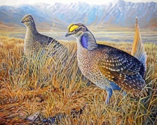 Sharp Tailed Grouse Birds paint by number