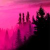 Silhouette Fuchsia Landscape paint by numbers