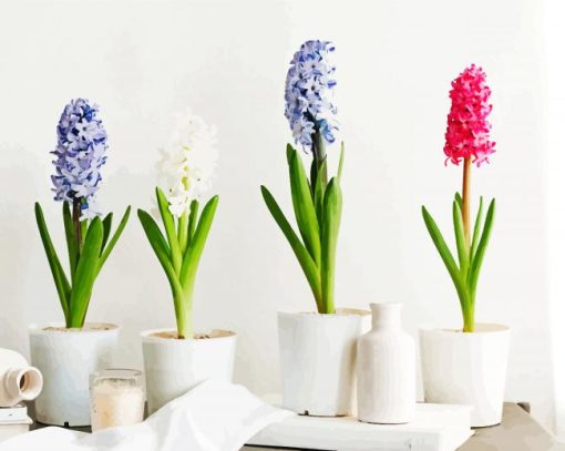 Soft Hyacinth paint by numbers