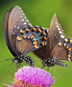 Swallowtail Butterfly paint by numbers