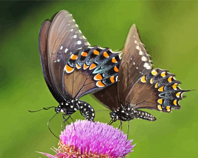 Swallowtail Butterfly paint by numbers