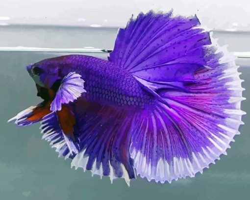 Aesthetic Purple Betta Fish paint by number