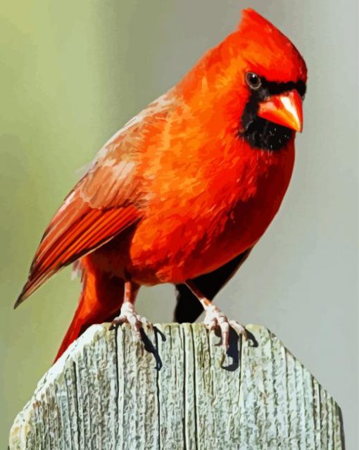 Aesthetic Red Northern Cardinal Bird paint by number