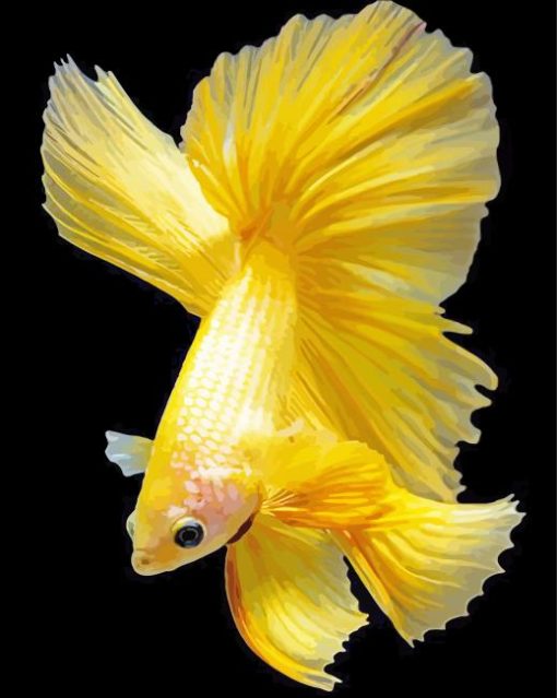 Aesthetic Yellow Betta Fish paint by number