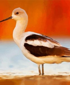 American Avocet Bird paint by number