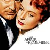 An Affair To Remember Movie Poster paint by number