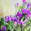 Artistic Iris Field paint by number