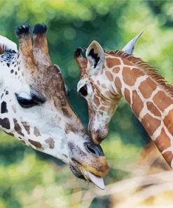 Baby Giraffe paint by number