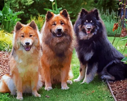 Beautiful Eurasier Puppies paint by number