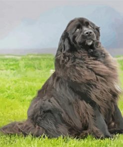 Beautiful Newfie paint by number