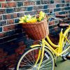 Bicycle With Yellow Tulips paint by number