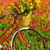 Bike With Tulips Art paint by number