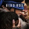 Bird Box Movie Poster paint by number