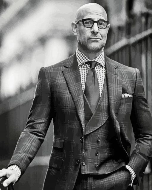 Black And White Stanley Tucci paint by number