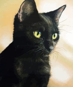 Black Cat Pastel paint by number