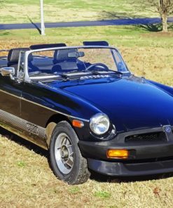 Black Mg Mgb Car paint by number